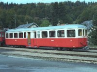 B 41